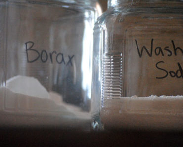 Borax for Fleas Control – How to Use It & Safety Measures