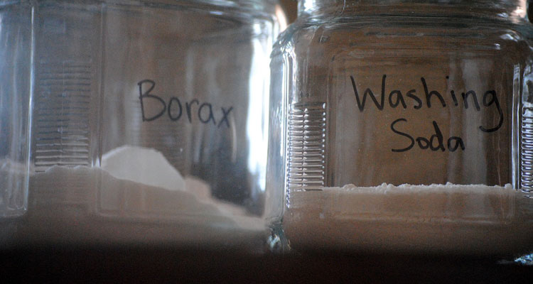 borax for fleas