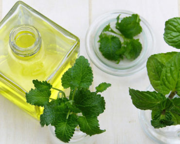 How Peppermint Oil Is a Safe & Natural Flea Repellent?